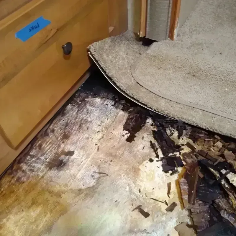 Wood Floor Water Damage in Wayne County, KY